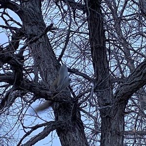 Meet your Posher, Mac